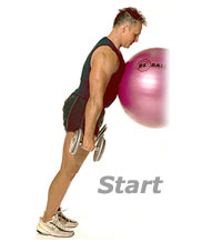 Incline Standing Calf Raises with Sissel Exercise Ball and Dumbbells