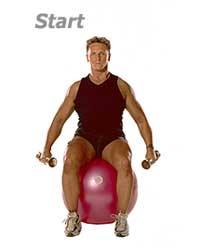 Image 1 - Seated Lateral Dumbbell Raises with Swiss Ball Pro