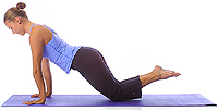 Yoga Position: Beginner plank