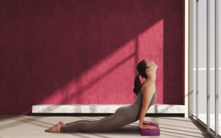 Image SISSEL® Yoga Block, burgundy